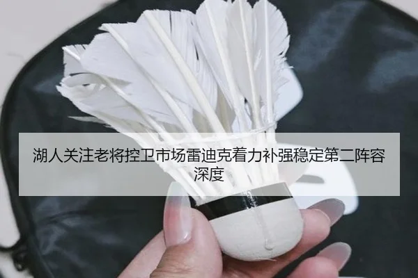 湖人关注老将控卫市场雷迪克着力补强稳定第二阵容深度